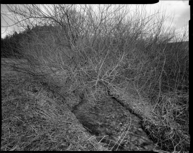 Ales_Jungmann-krajina-archiv-1