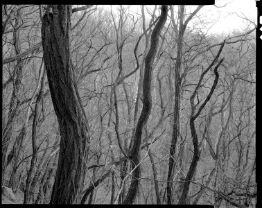 Ales_Jungmann-krajina-archiv-3