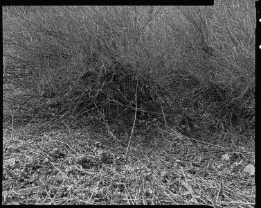 Ales_Jungmann-krajina-archiv-4