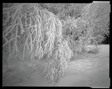 Ales_Jungmann-krajina-archiv-5