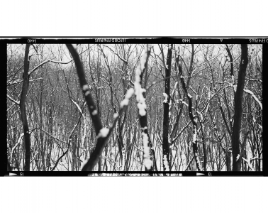 Ales_Jungmann-krajina-archiv-6x