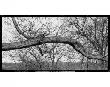 Ales_Jungmann-krajina-archiv-7x