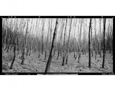 Ales_Jungmann-krajina-archiv-8x